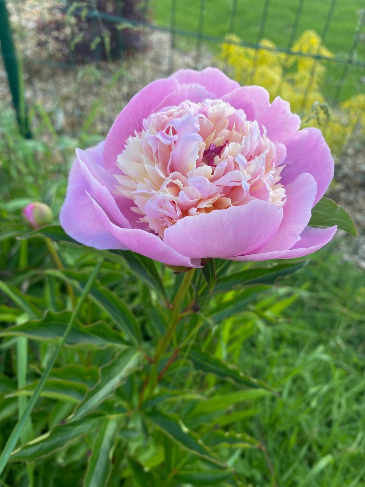 Le Celadon Larcay Dış mekan fotoğraf